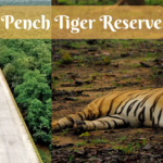 Anand Mahindra Shared NH 44 Pench Tiger Reserve photos